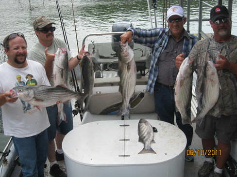 Nice Striped Bass