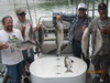 (06/10/2011) - Nice Striped Bass