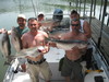 (06/11/2011) - Nice Striped Bass