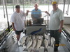 (06/12/2011) - Nice Striped Bass