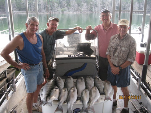 Nice Striped Bass