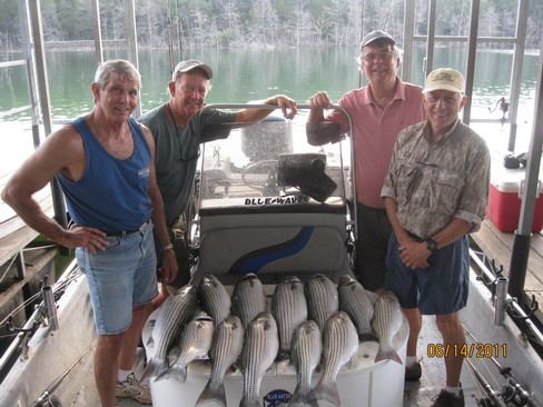 Nice Striped Bass