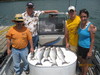 (06/17/2011) - Nice Striped Bass