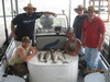 (06/18/2011) - Nice Striped Bass