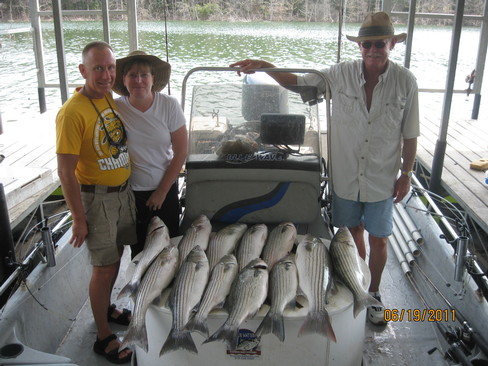 Nice Striped Bass