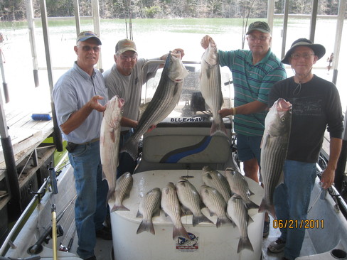 Nice Striped Bass