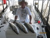 (06/23/2011) - Nice Striped Bass