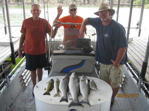 Nice Striped Bass