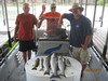 (06/24/2011) - Nice Striped Bass