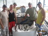 (06/25/2011) - Nice Striped Bass