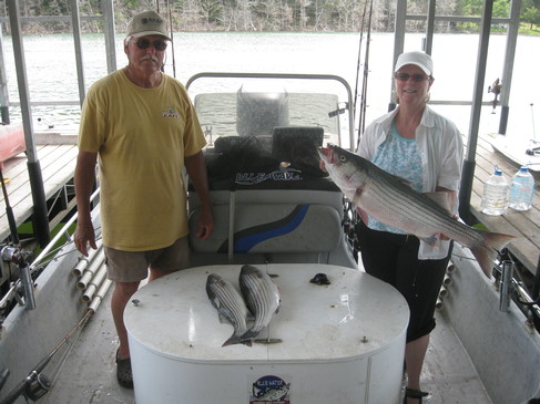 Nice Striped Bass