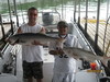 (06/28/2011) - Nice Striped Bass