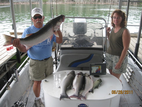 Nice Striped Bass