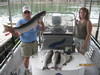 (06/28/2011) - Nice Striped Bass