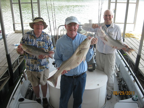 Nice Striped Bass