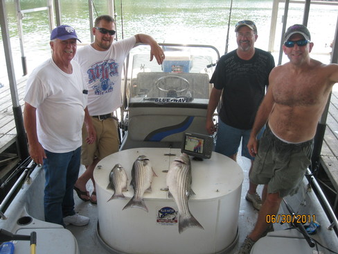 Nice Striped Bass