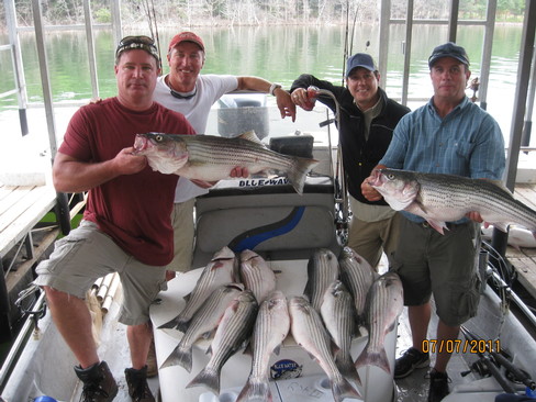 Nice Striped Bass