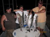 (07/11/2011) - Nice Striped Bass