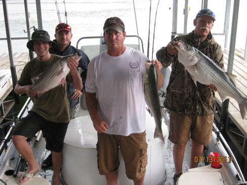 Nice Striped Bass