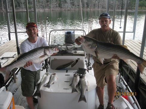 Nice Striped Bass