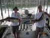 (07/14/2011) - Nice Striped Bass
