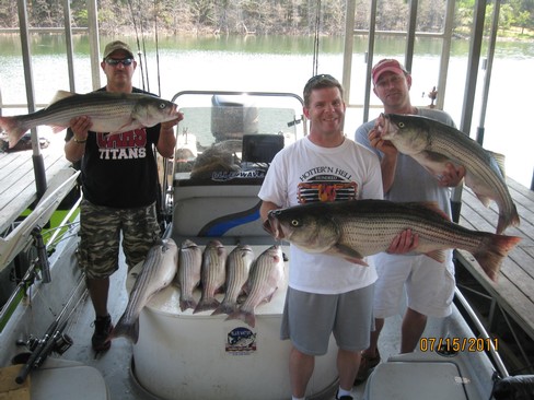 Nice Striped Bass