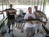(07/15/2011) - Nice Striped Bass