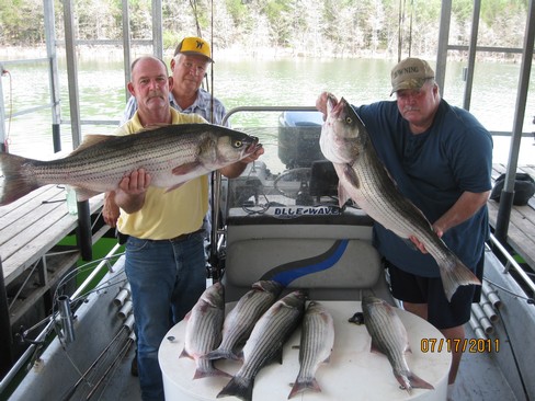 Nice Striped Bass