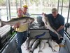 (07/17/2011) - Nice Striped Bass