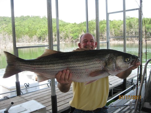 Nice Striped Bass