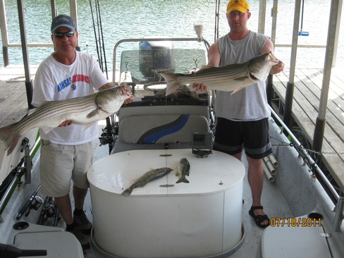 Nice Striped Bass