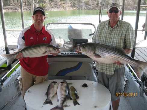 Nice Striped Bass