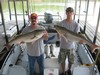 (07/19/2011) - Nice Striped Bass