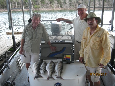 Nice Striped Bass