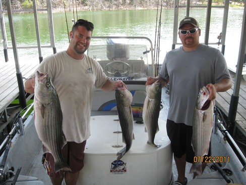 Nice Striped Bass