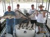 (07/23/2011) - Nice Striped Bass