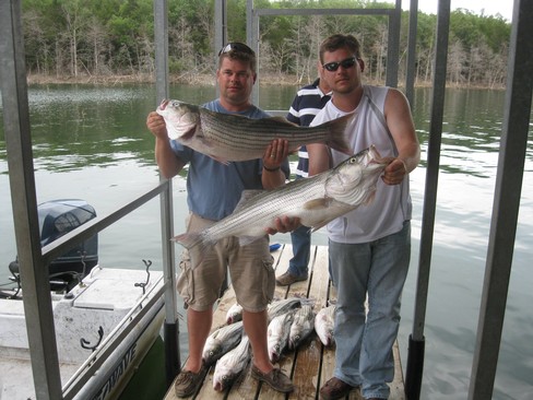 Nice Striped Bass