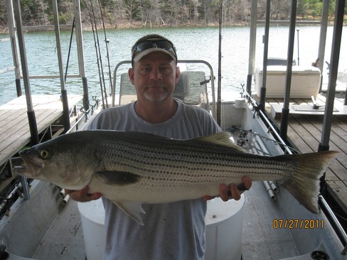 Nice Striped Bass