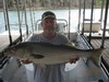 (07/27/2011) - Nice Striped Bass