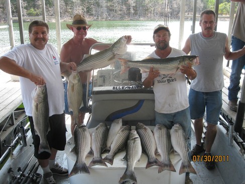 Nice Striped Bass