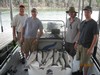 (07/31/2011) - Nice Striped Bass