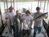 (07/31/2011) - Nice Striped Bass