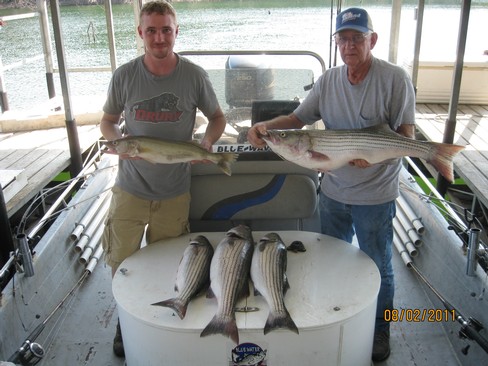 Nice Striped Bass