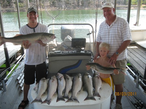 Nice Striped Bass