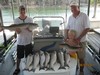 (08/03/2011) - Nice Striped Bass