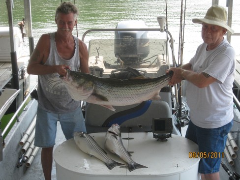 Nice Striped Bass