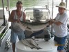 (08/05/2011) - Nice Striped Bass