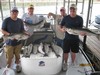 (08/05/2011) - Nice Striped Bass