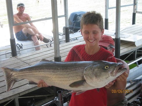 Nice Striped Bass