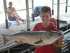 (08/06/2011) - Nice Striped Bass